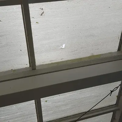 Trabajo de Full Service Pinamar: techo de policarbonato con estructura de aluminio
